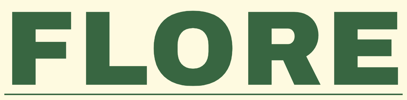 Flore: Tienda de Ropa